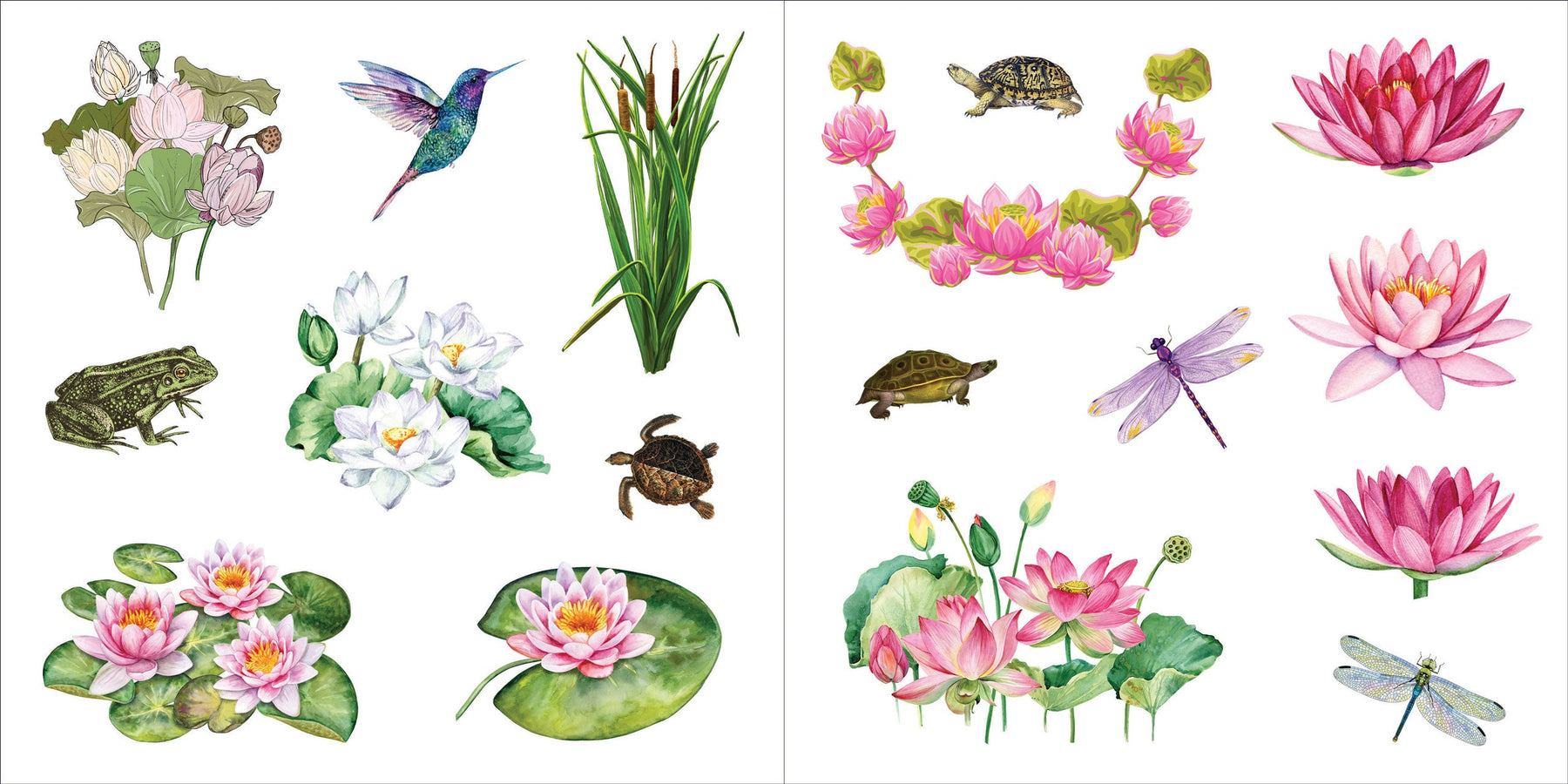 Bunches of Botanicals! A Blooming Sticker Book    