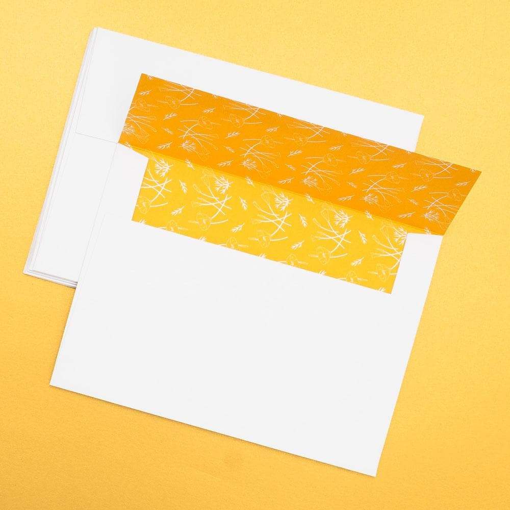 California Dreaming - Assorted Boxed Note Cards    