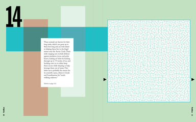 Picto Mazes - Find 72 Hidden Animals    