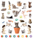 Eye Like Sticker Book - Kittens    