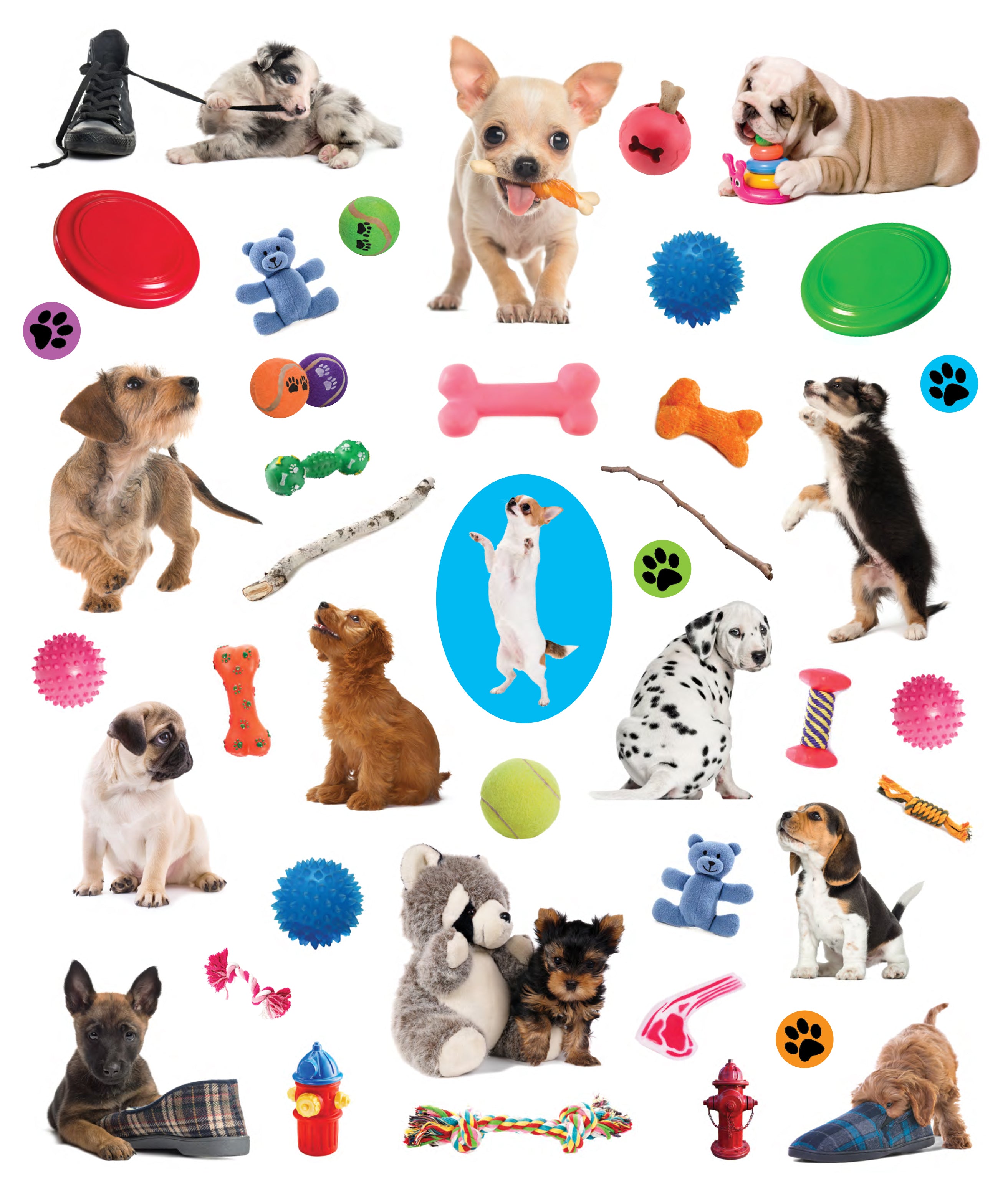 Eye Like Sticker Book - Puppies    