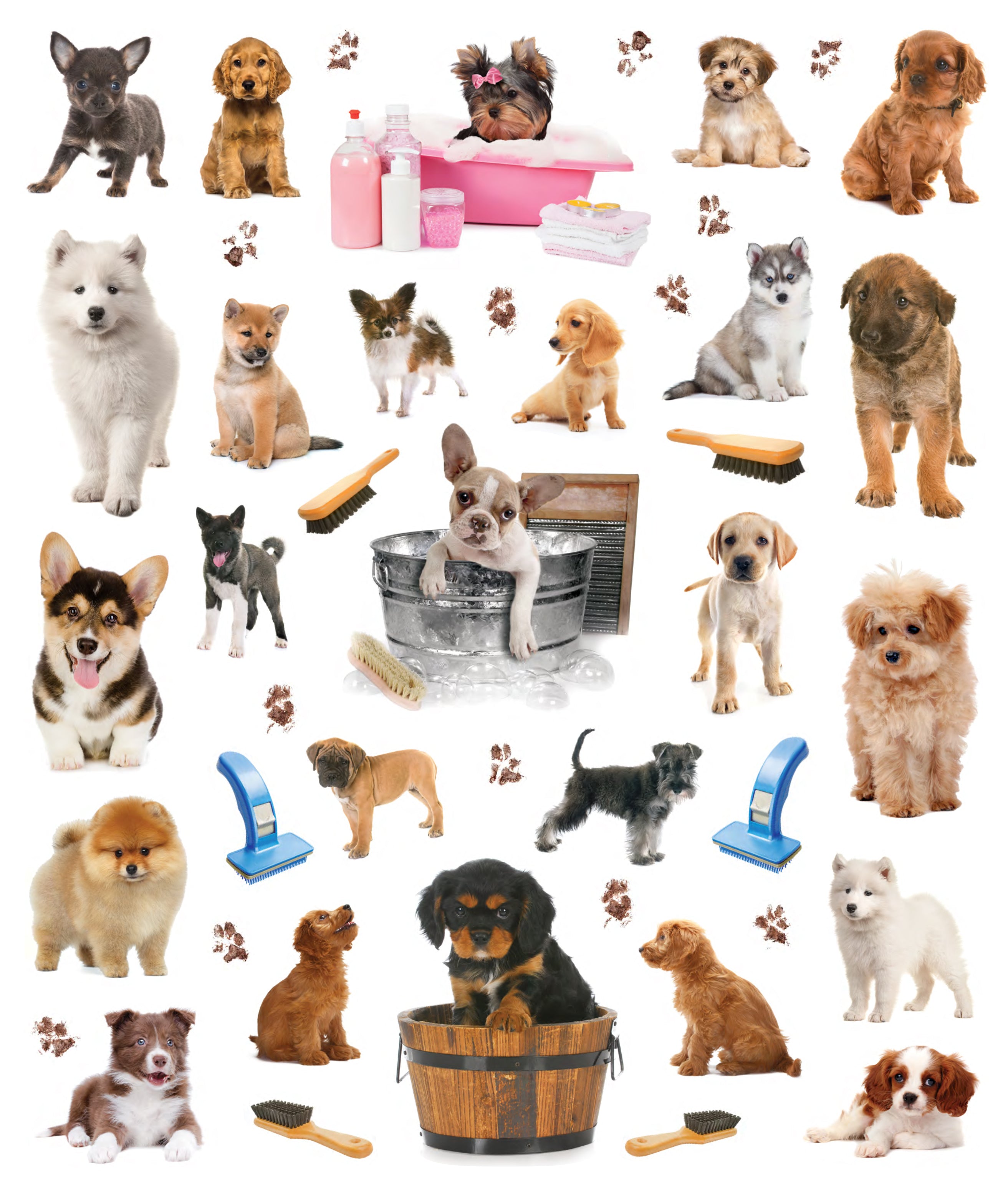 Eye Like Sticker Book - Puppies    