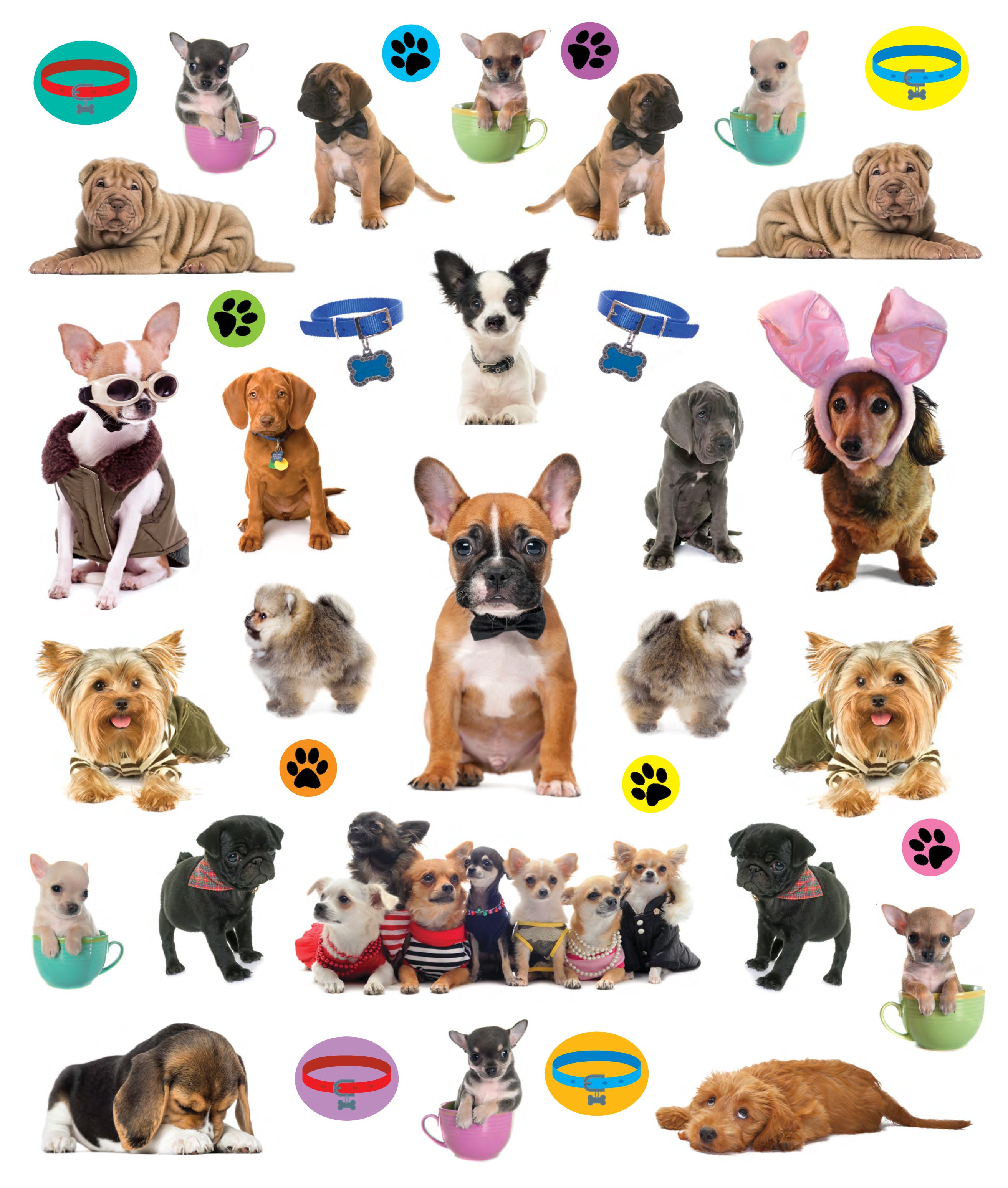 Eye Like Sticker Book - Puppies    