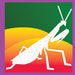 Paint By Sticker Kids - Beautiful Bugs    