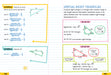 Everything You Need To Ace Geometry In One Big Fat Notebook    
