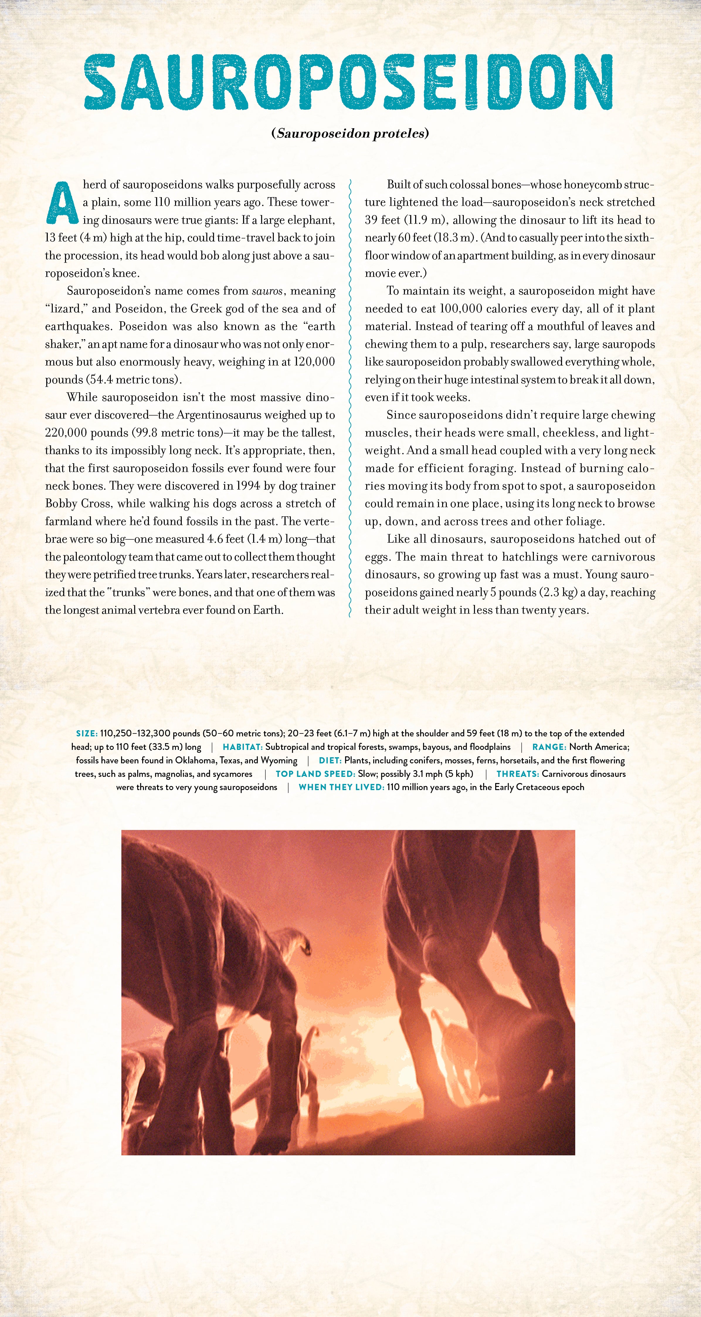 Dinosaur - A Photicular Book    