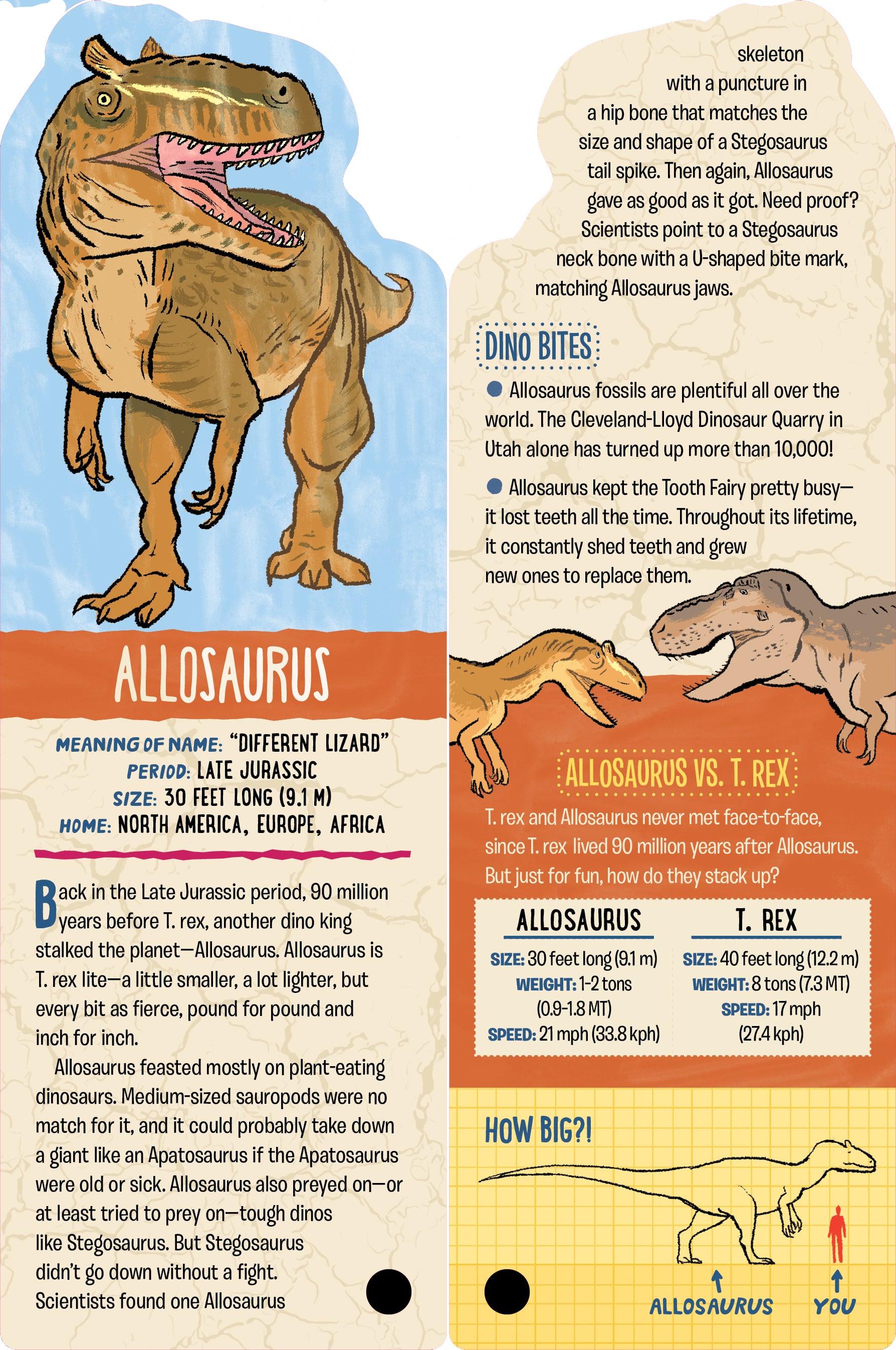 Fandex Kids - Dinosaurs    