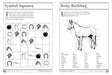 Horse Games And Puzzles    