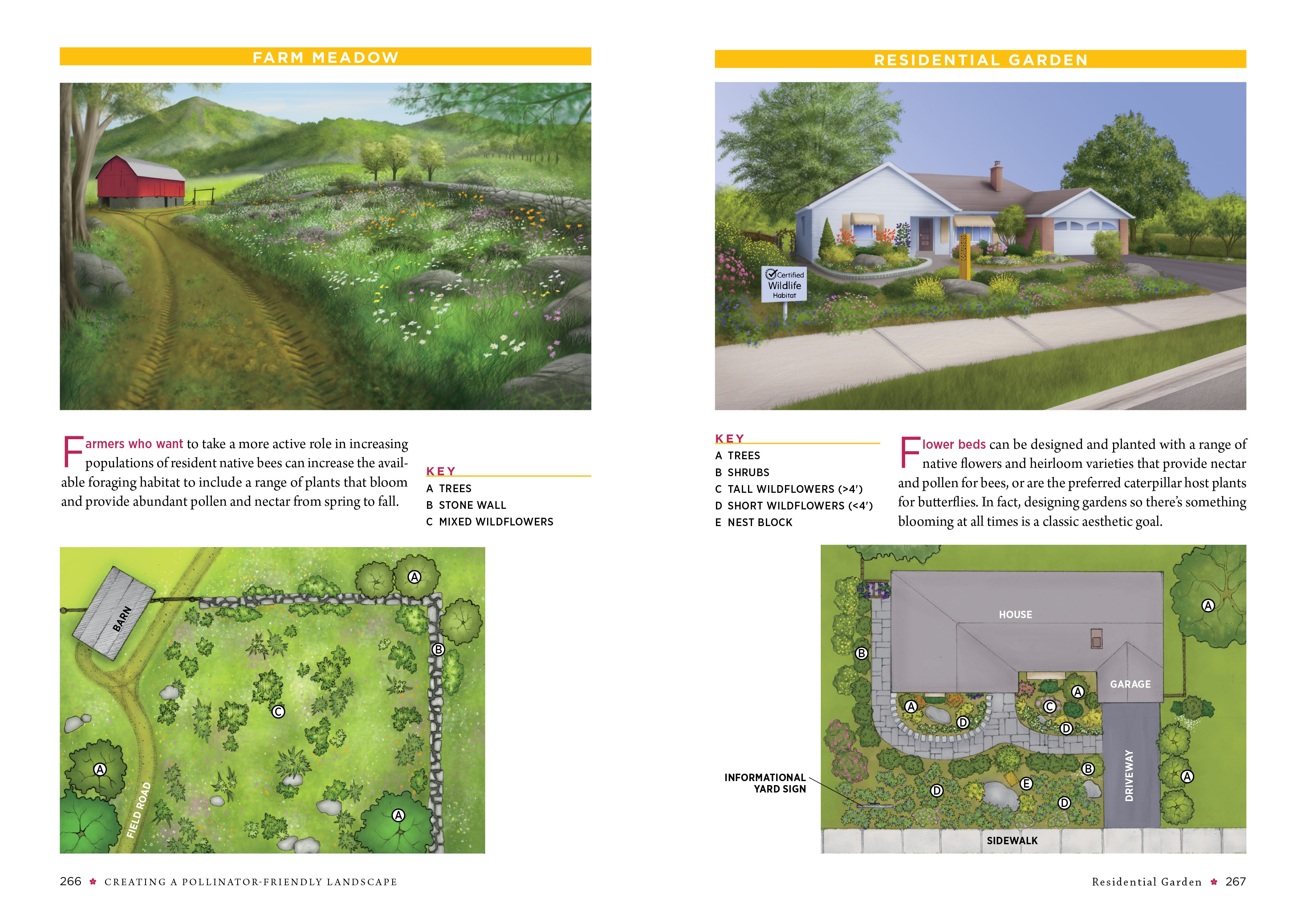 Attracting Native Pollinators    