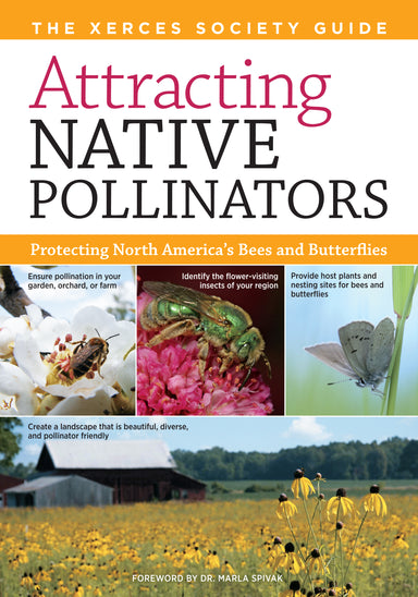 Attracting Native Pollinators    