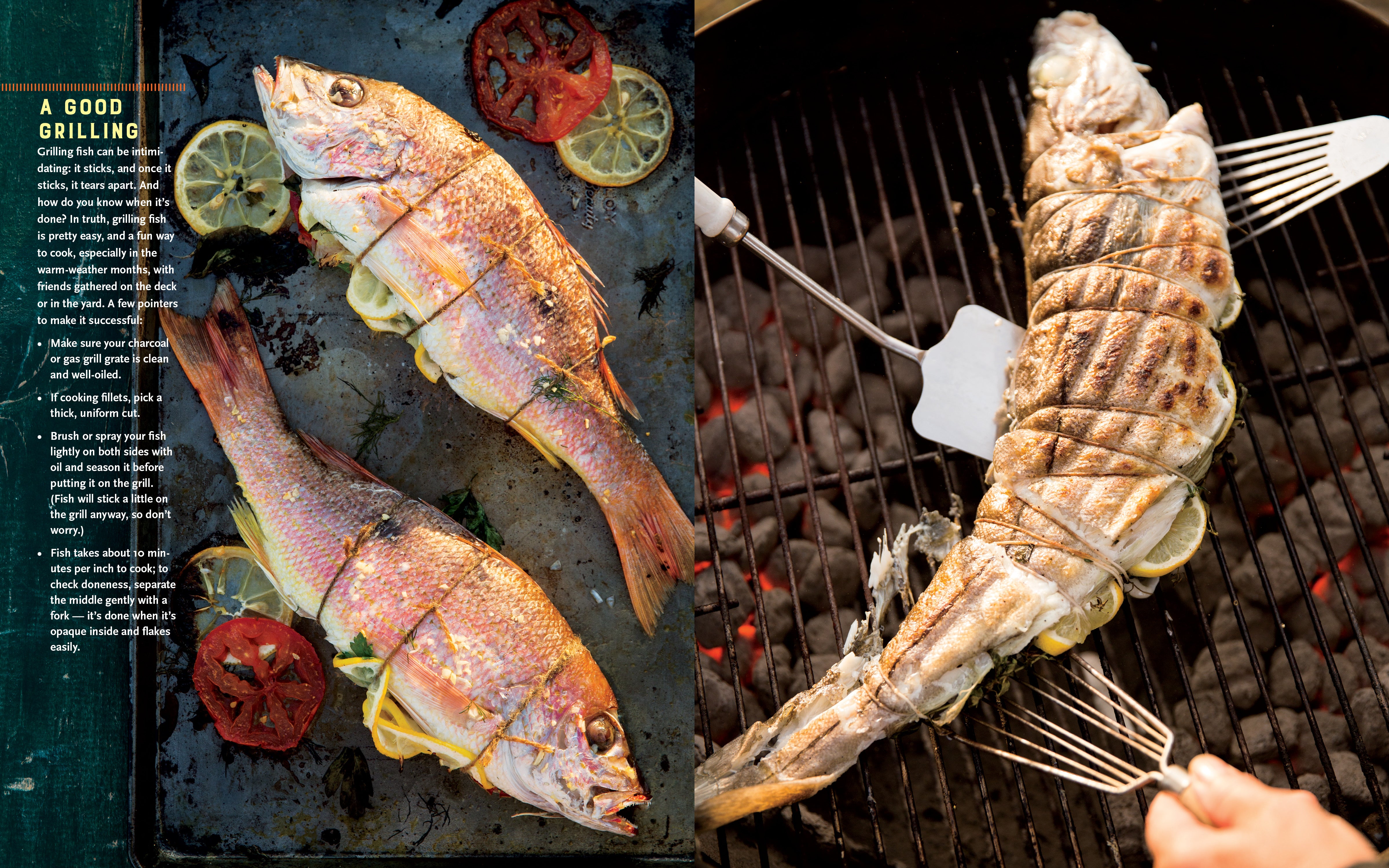 Fresh Fish    