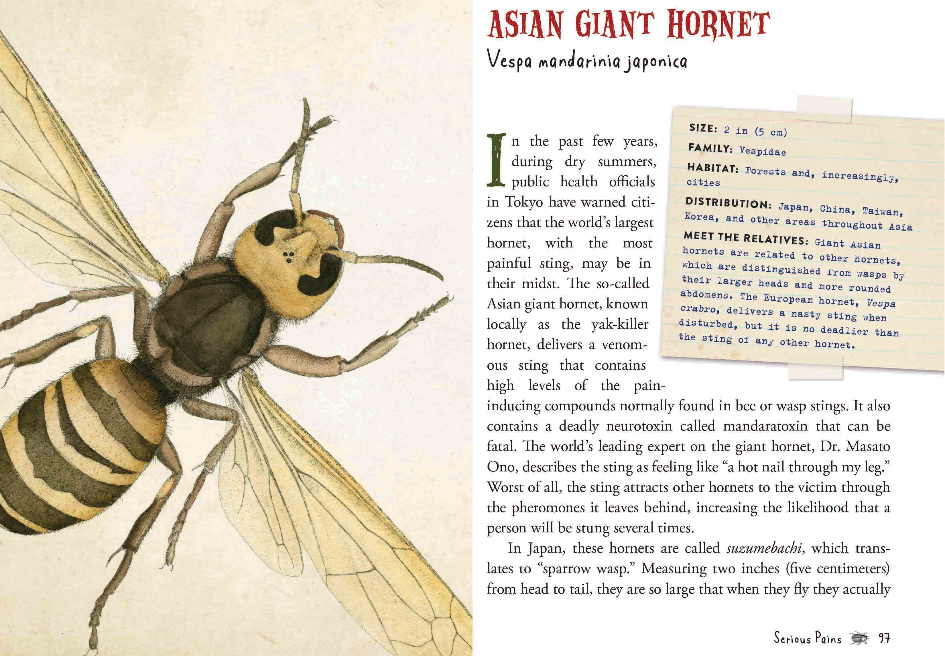 Wicked Bugs - The Meanest, Deadliest, Grossest Bugs on Earth    