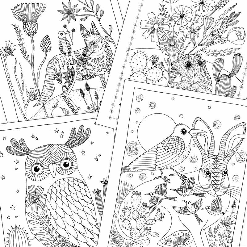 Desert Dreams - Geninne D Zlatkis Coloring Book    