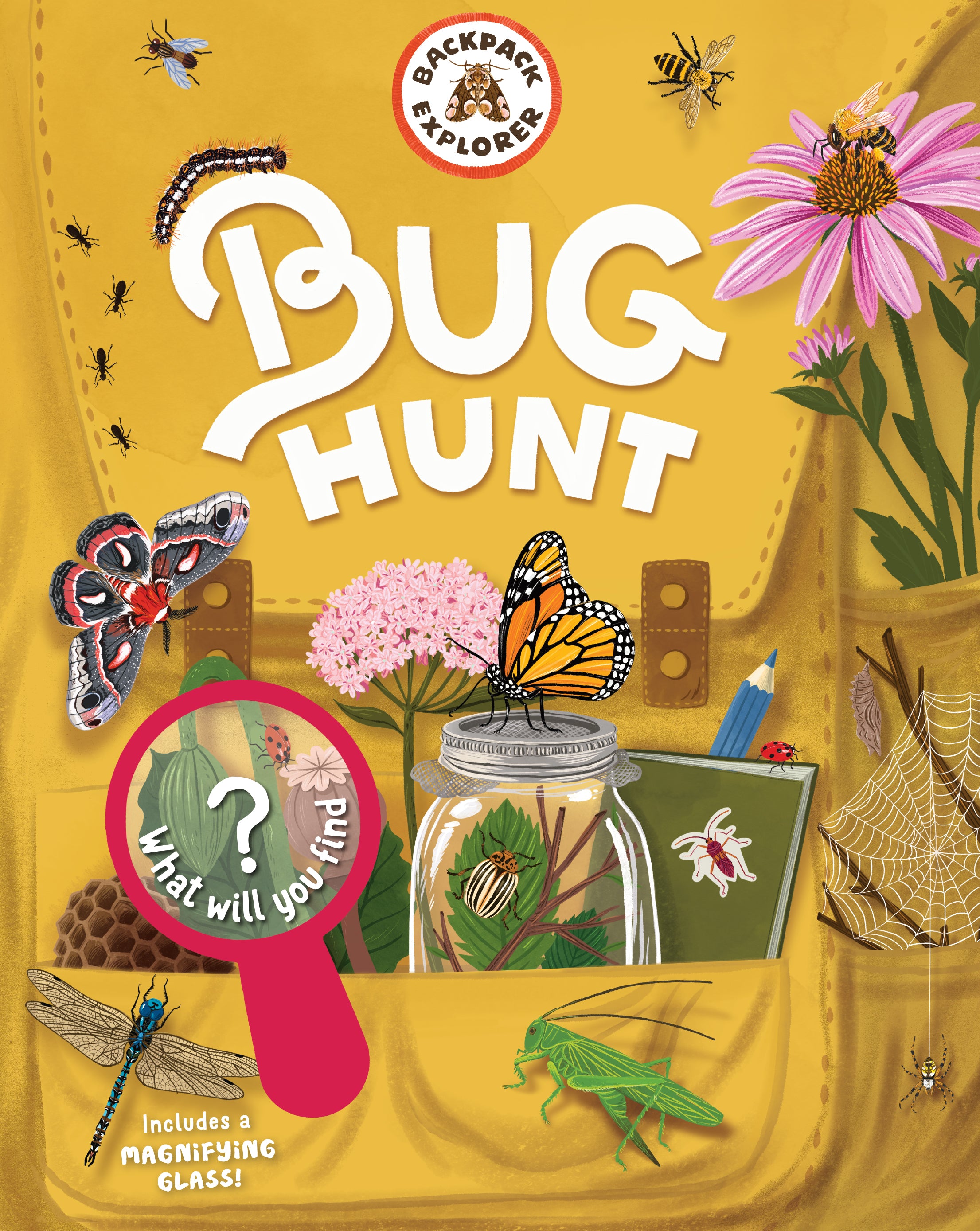 Backpack Explorer - Bug Hunt    