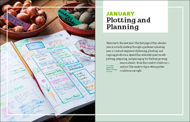 The Beginner's Guide to Growing Great Vegetables    