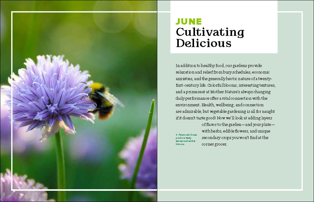 The Beginner's Guide to Growing Great Vegetables    