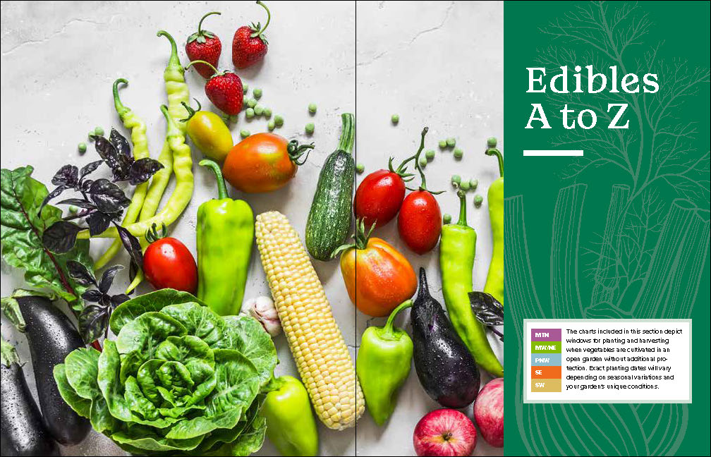 The Beginner's Guide to Growing Great Vegetables    