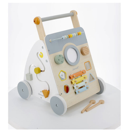 9 In 1 Multi Activity Baby Walker    