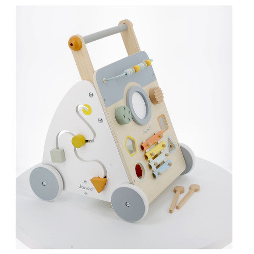 9 In 1 Multi Activity Baby Walker    