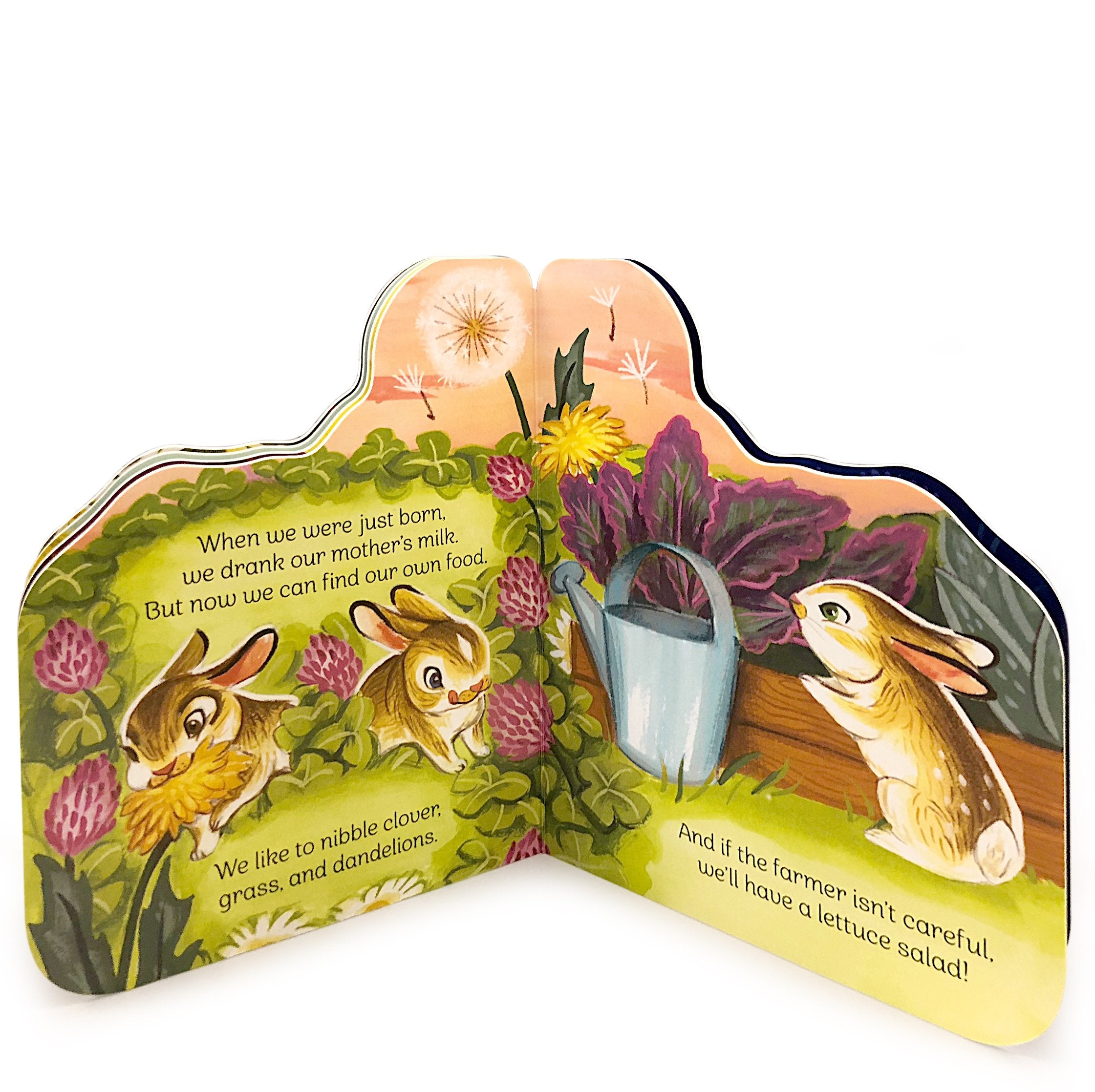 A Little Bunny Diecut Board Book    