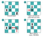 Solitaire Chess - Strategic Skill Building Game    