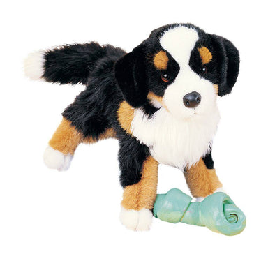 Trevor Bernese Mountain Dog    