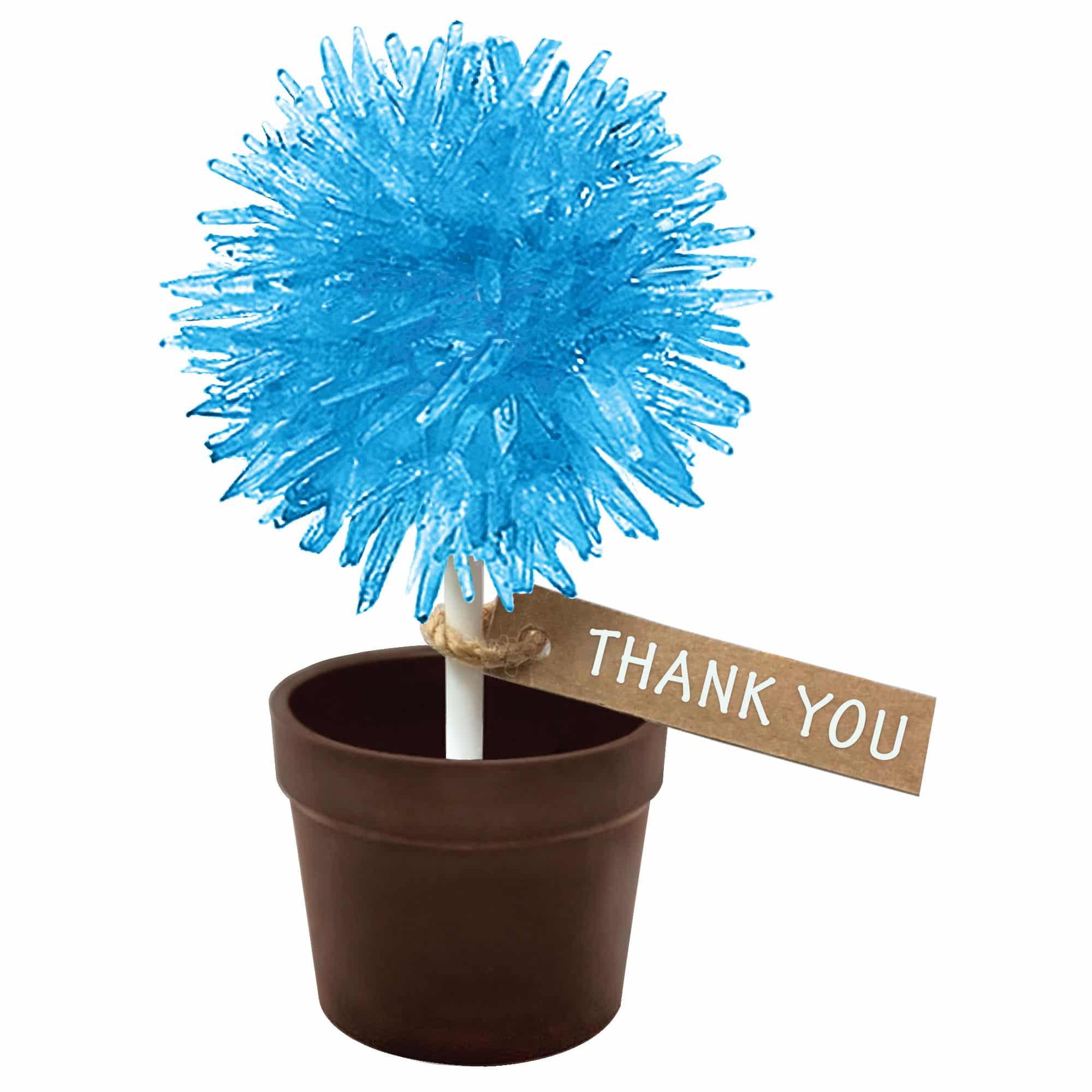 Crystal Lollipop Tree    