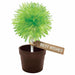 Crystal Lollipop Tree    