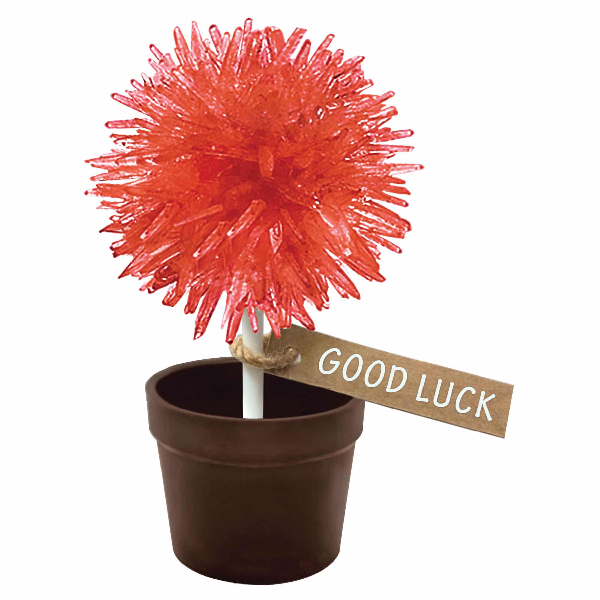 Crystal Lollipop Tree    