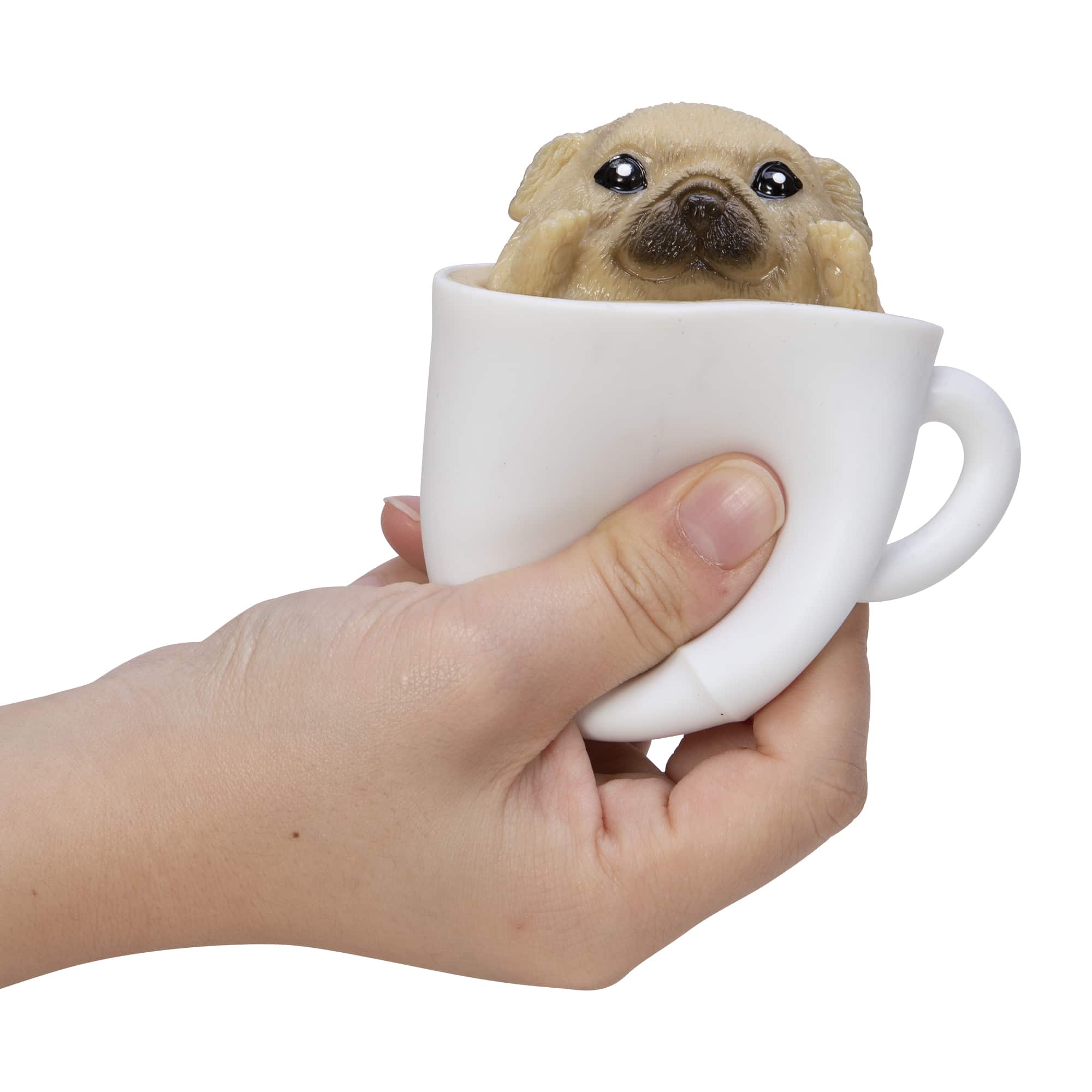 Pup In A Cup - Cocoa-Corgi, Lab-Latte, Frenchiatto or Pugachino    