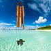 Half Coconut Bamboo Sea Turtle Chime    