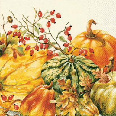 Calabaza Cream - Cocktail Napkin    