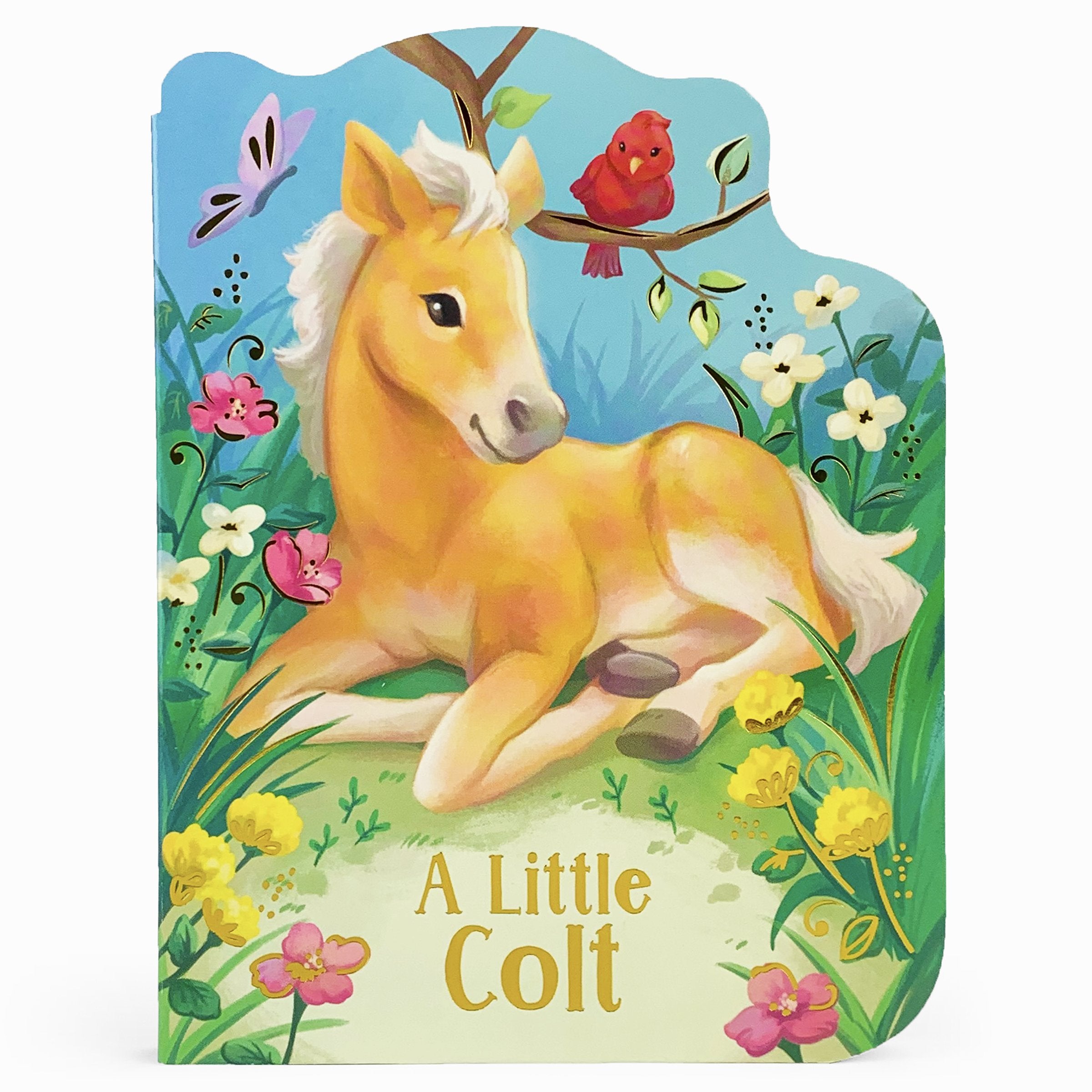 A Little Colt    