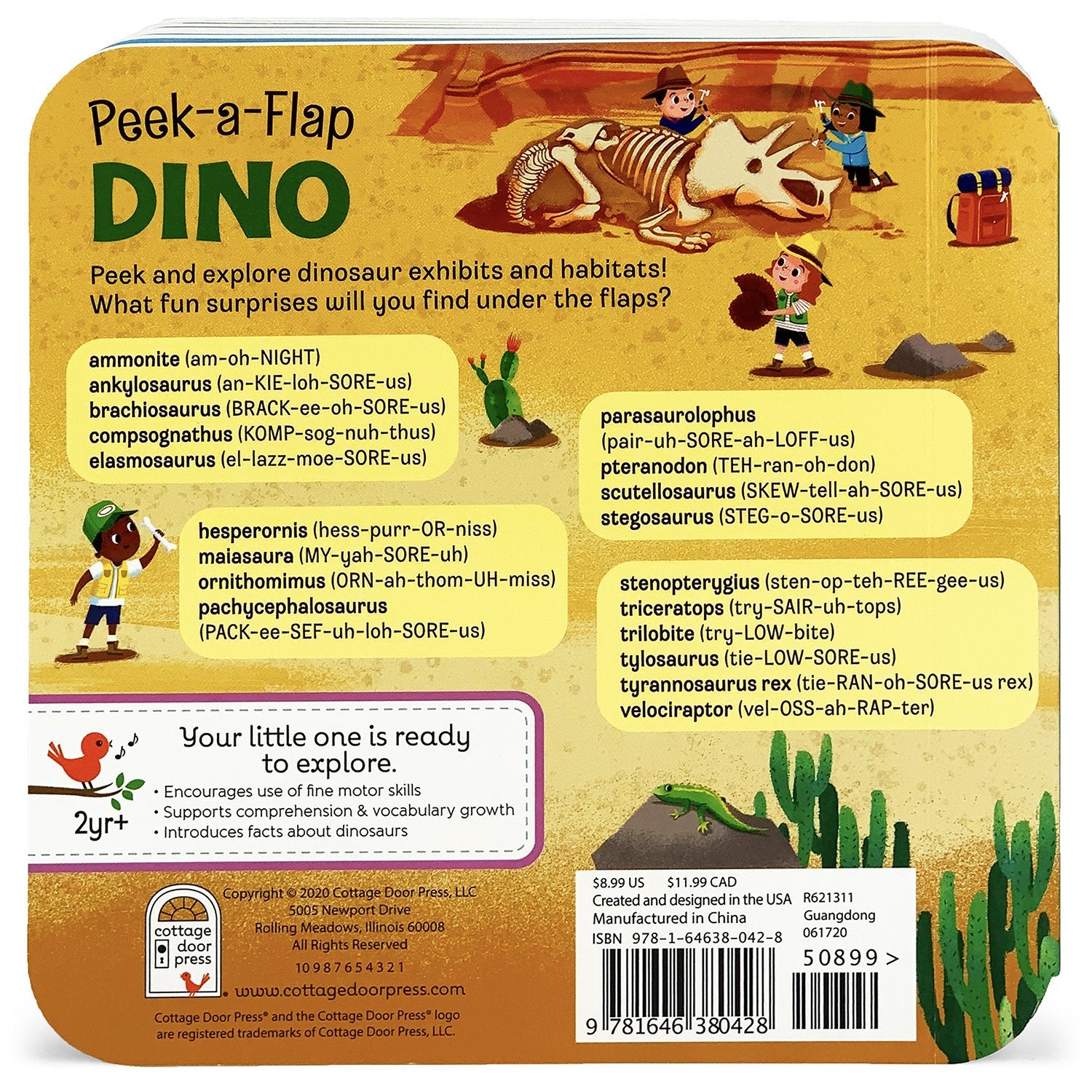 Peek A Flap Dino    