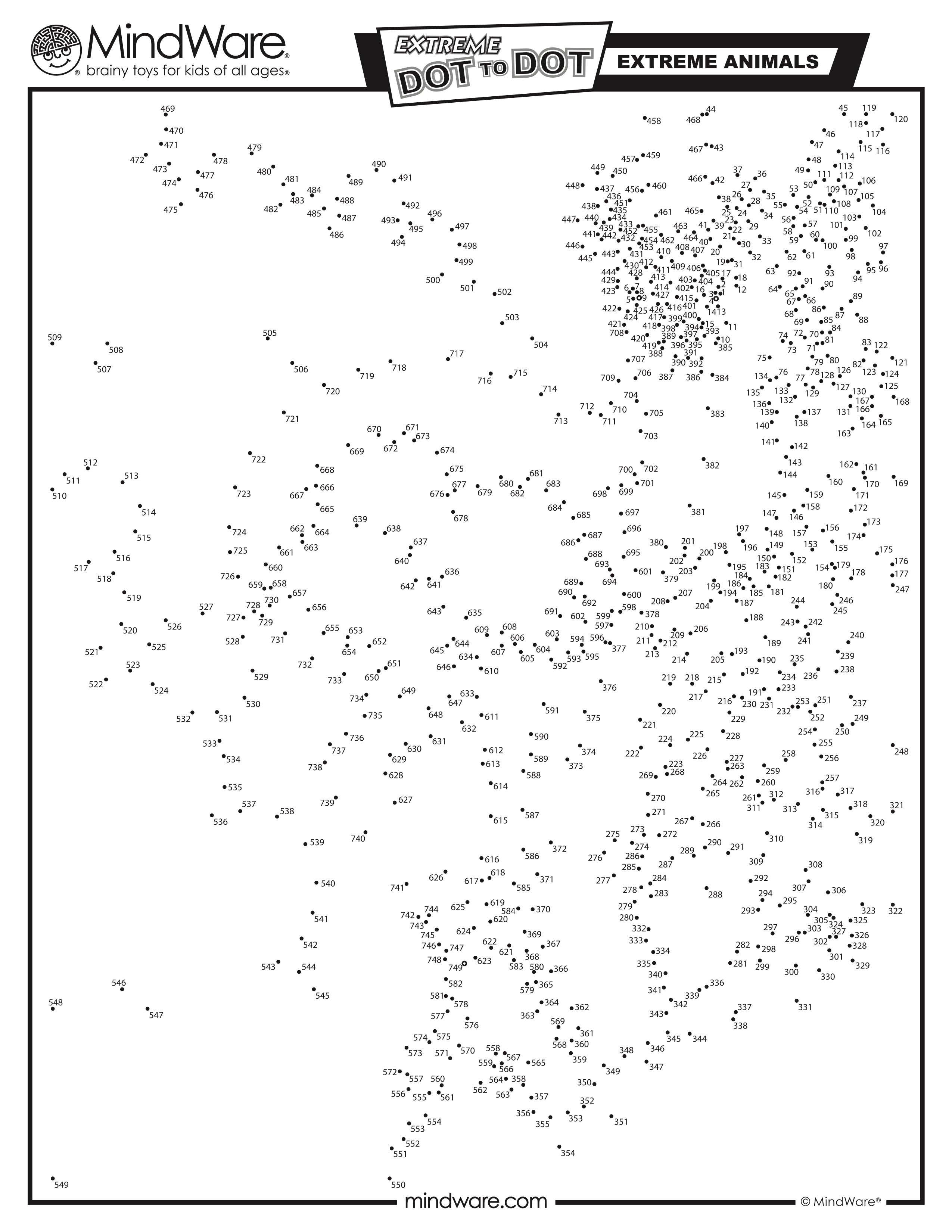 Extreme Dot To Dot - Extreme Animals    