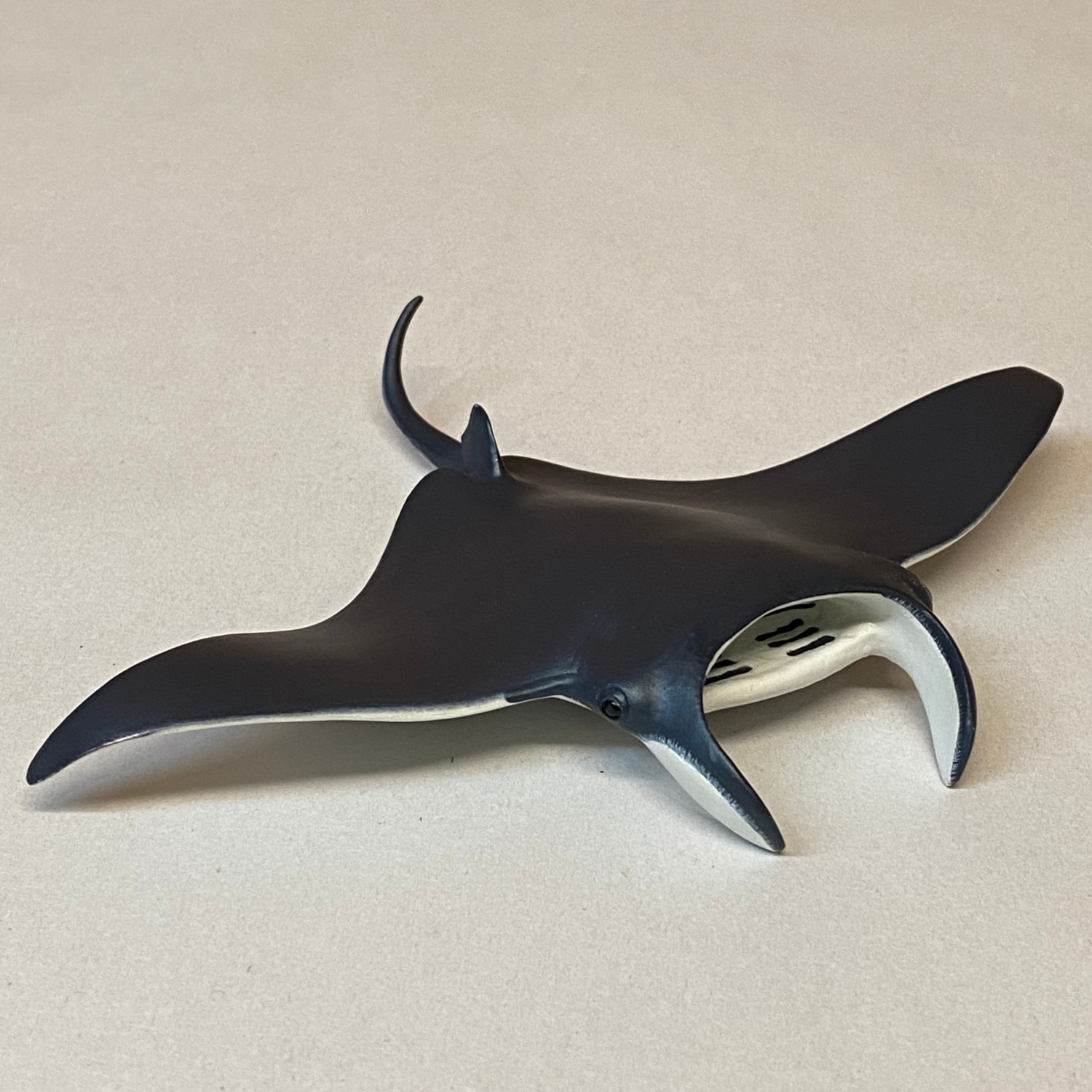 PAPO SEA MANTA RAY Default Title   3465000560065