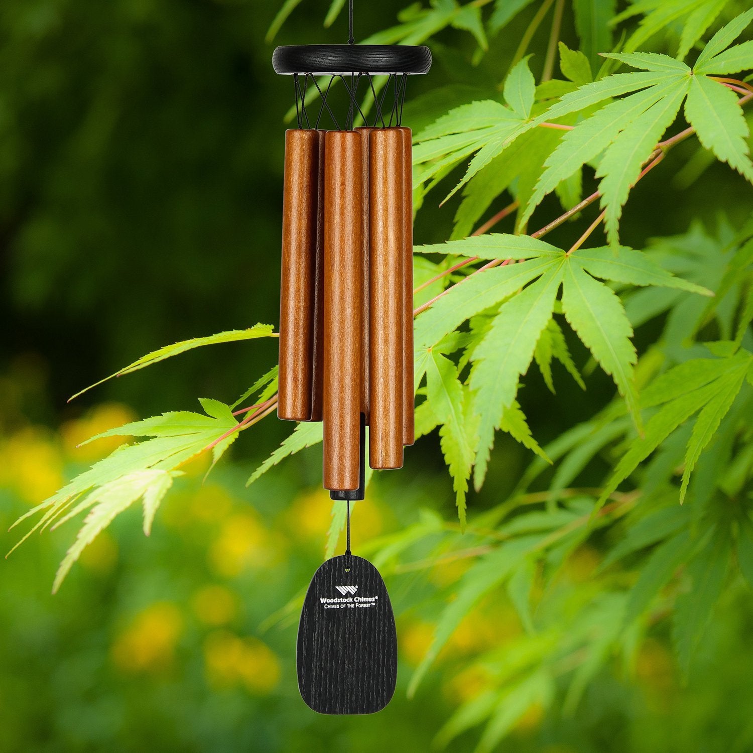 Chimes Of The Forest - Cinnamon    