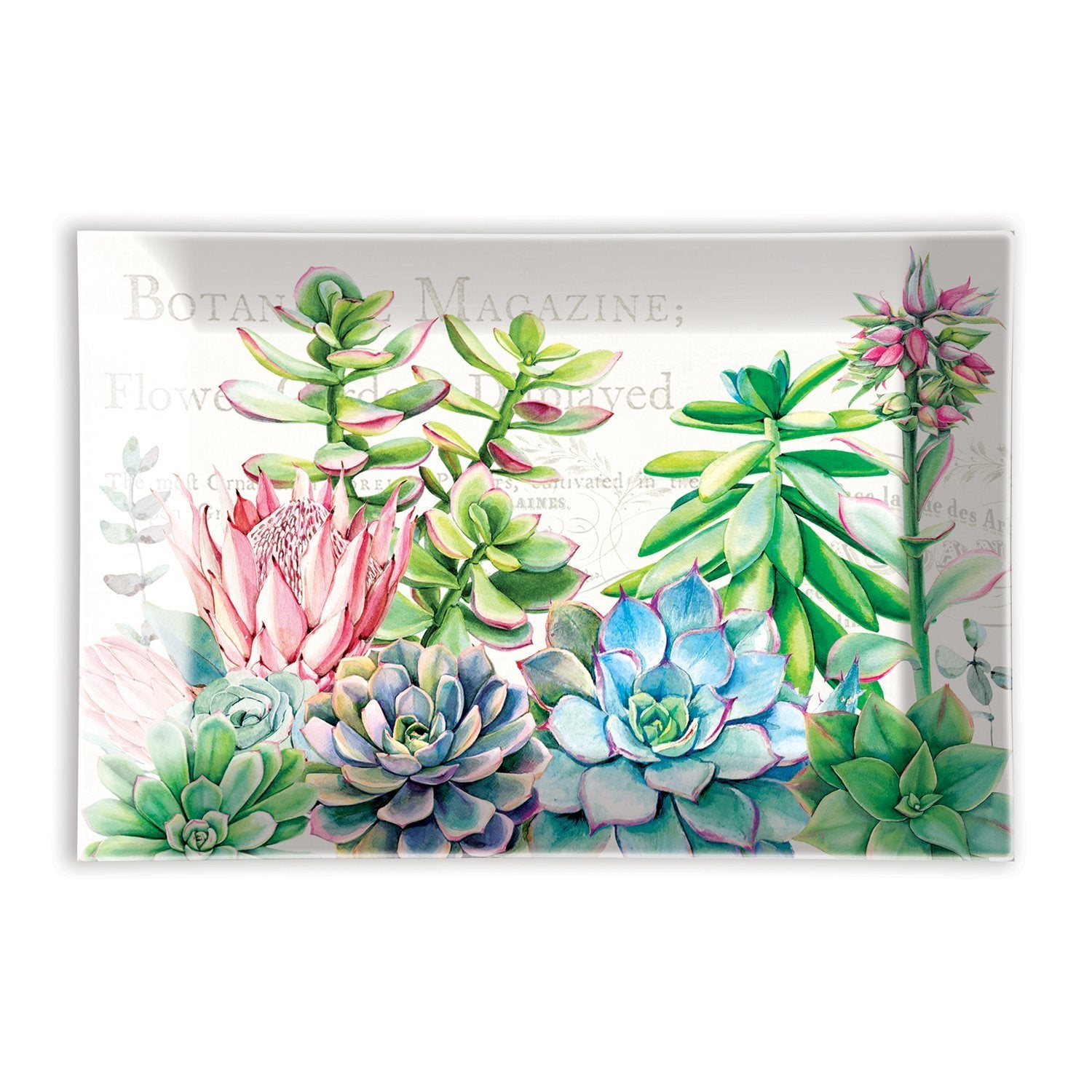 Pink Cactus - Glass Soap Dish    