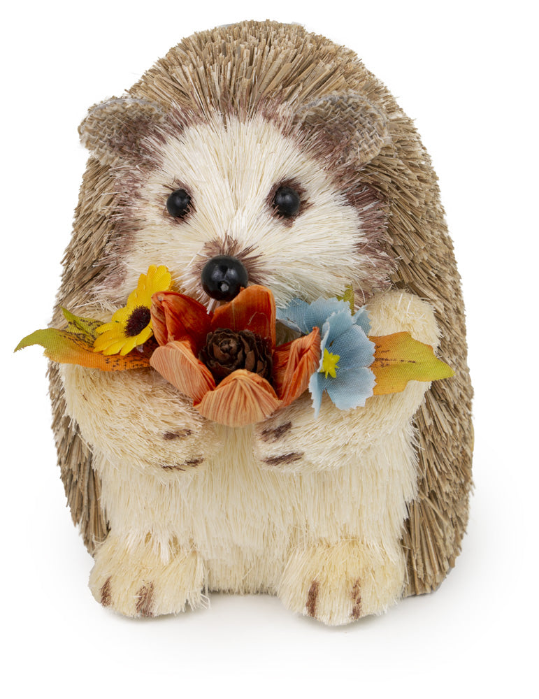 Bennyboo Hegdgehog    