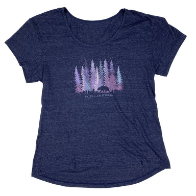 Plain Sight Chico Pines - Womens Hi-Low Scoop Neck T-Shirt NAVY HEATHER S  3263643.1