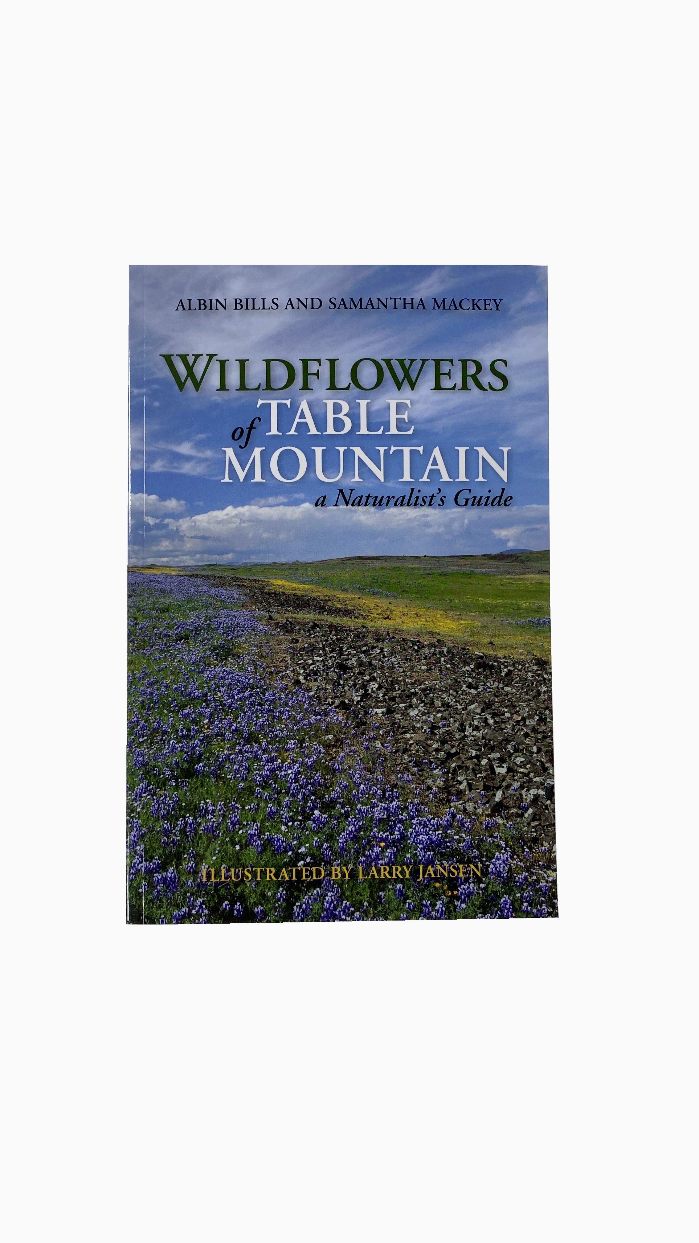 Wildflowers Of Table Mountain    