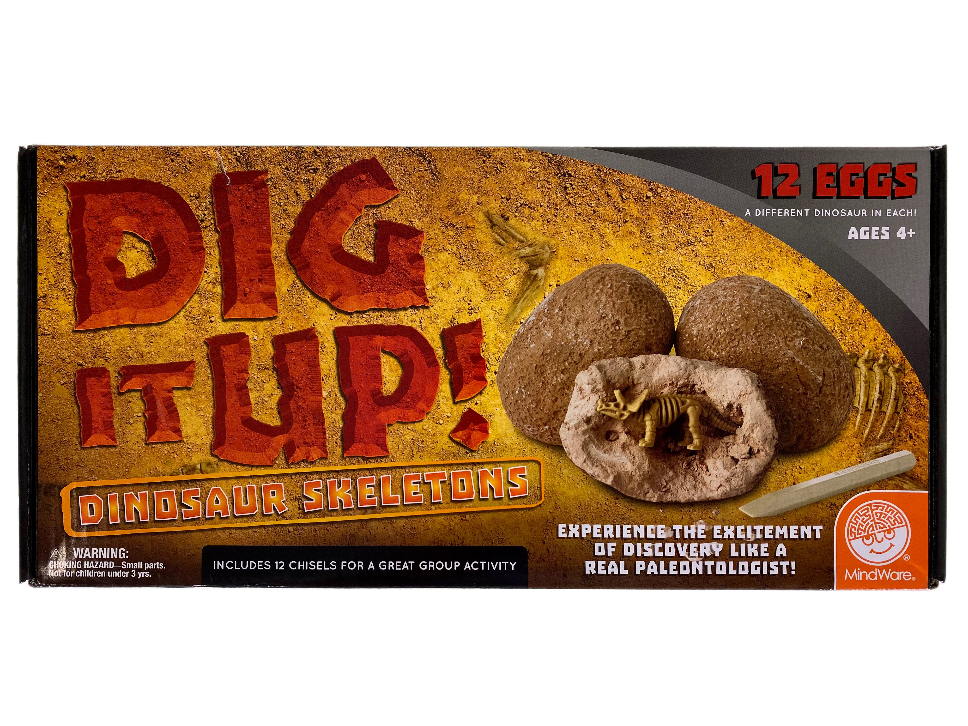 Dig It Up - Dinosaur Skeletons    