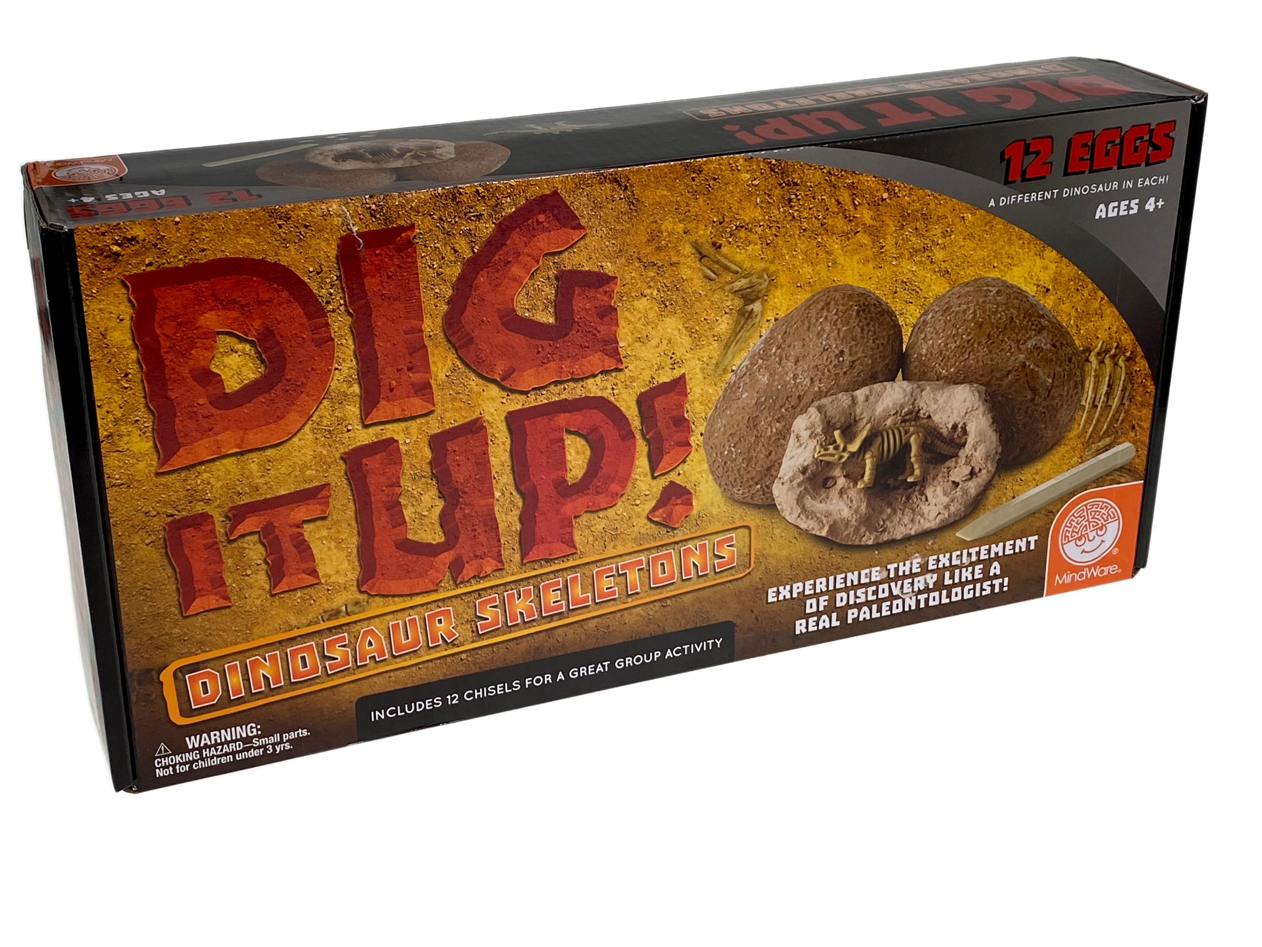 Dig It Up - Dinosaur Skeletons    