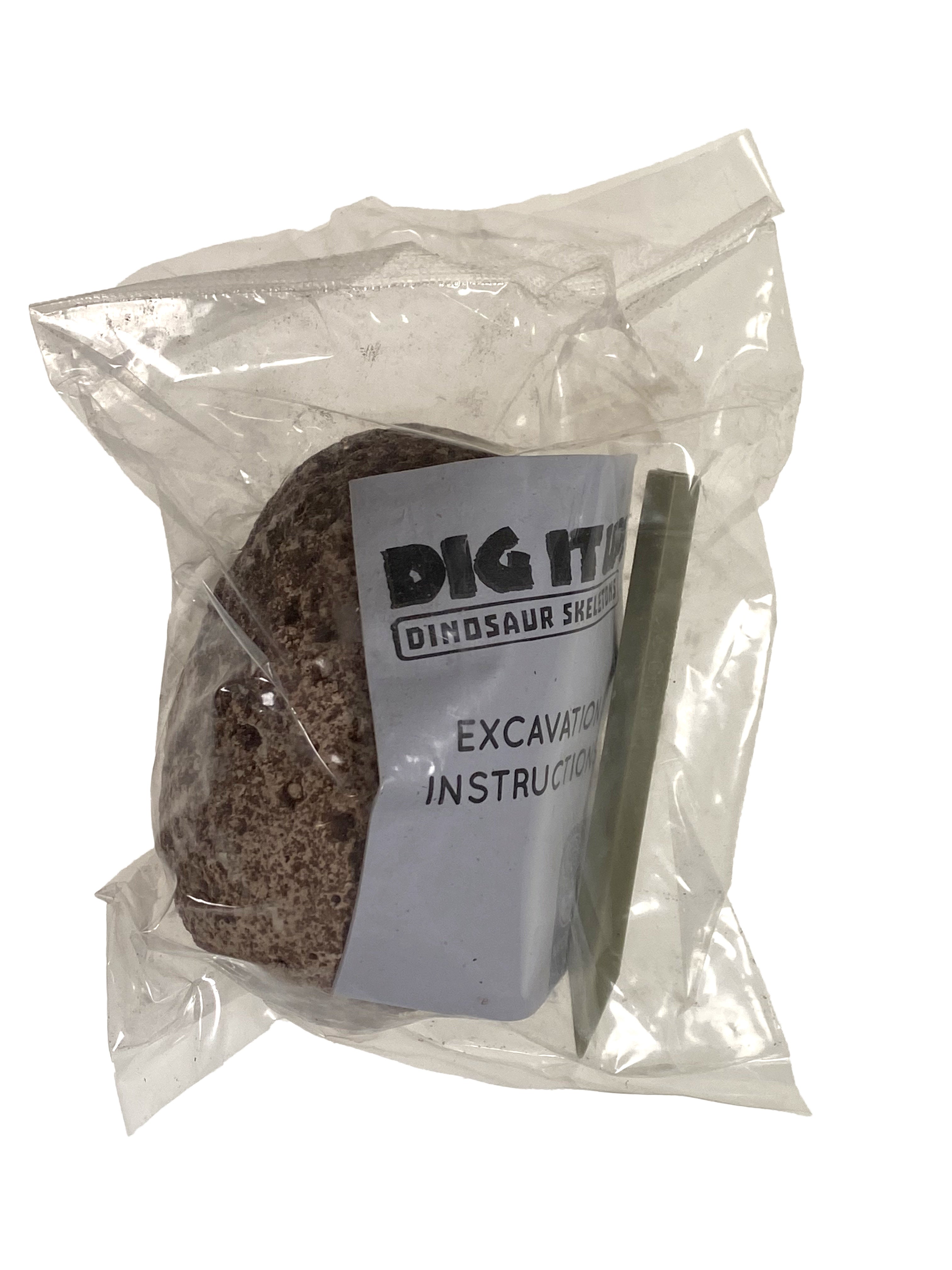 Dig It Up - Dinosaur Skeletons    
