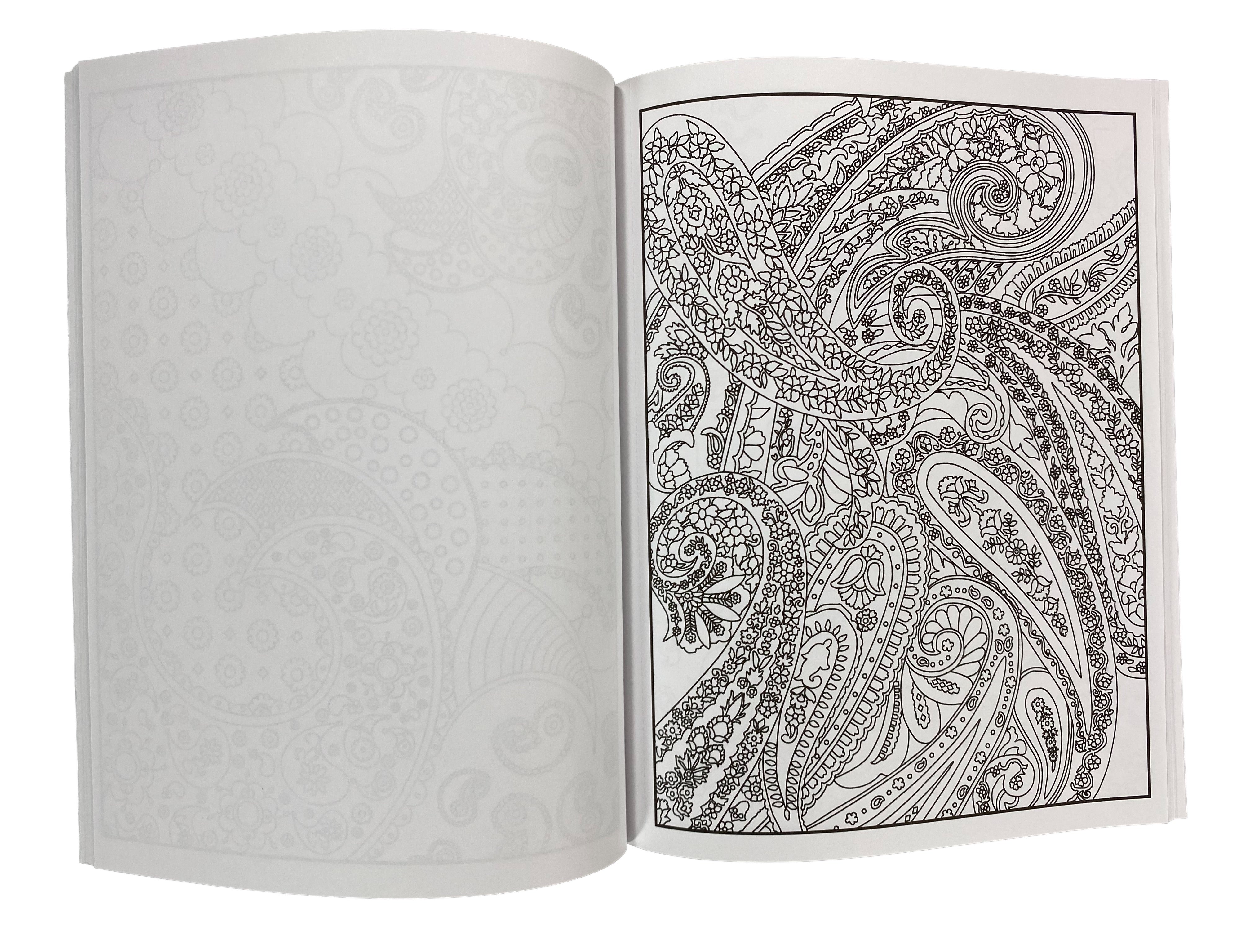 Crazy Paisley - Creative Haven Coloring Book    