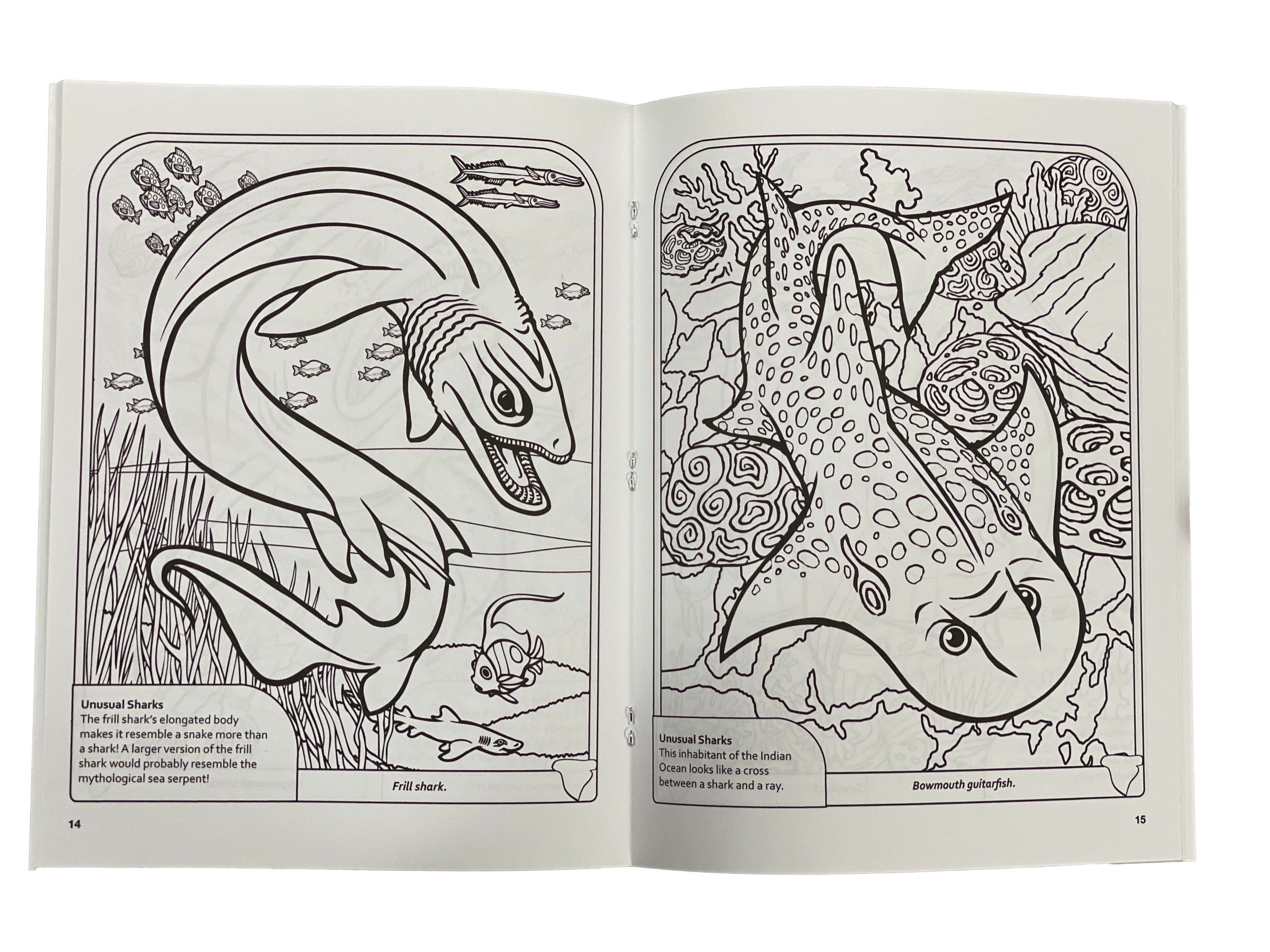 Sharks! Coloring Book    