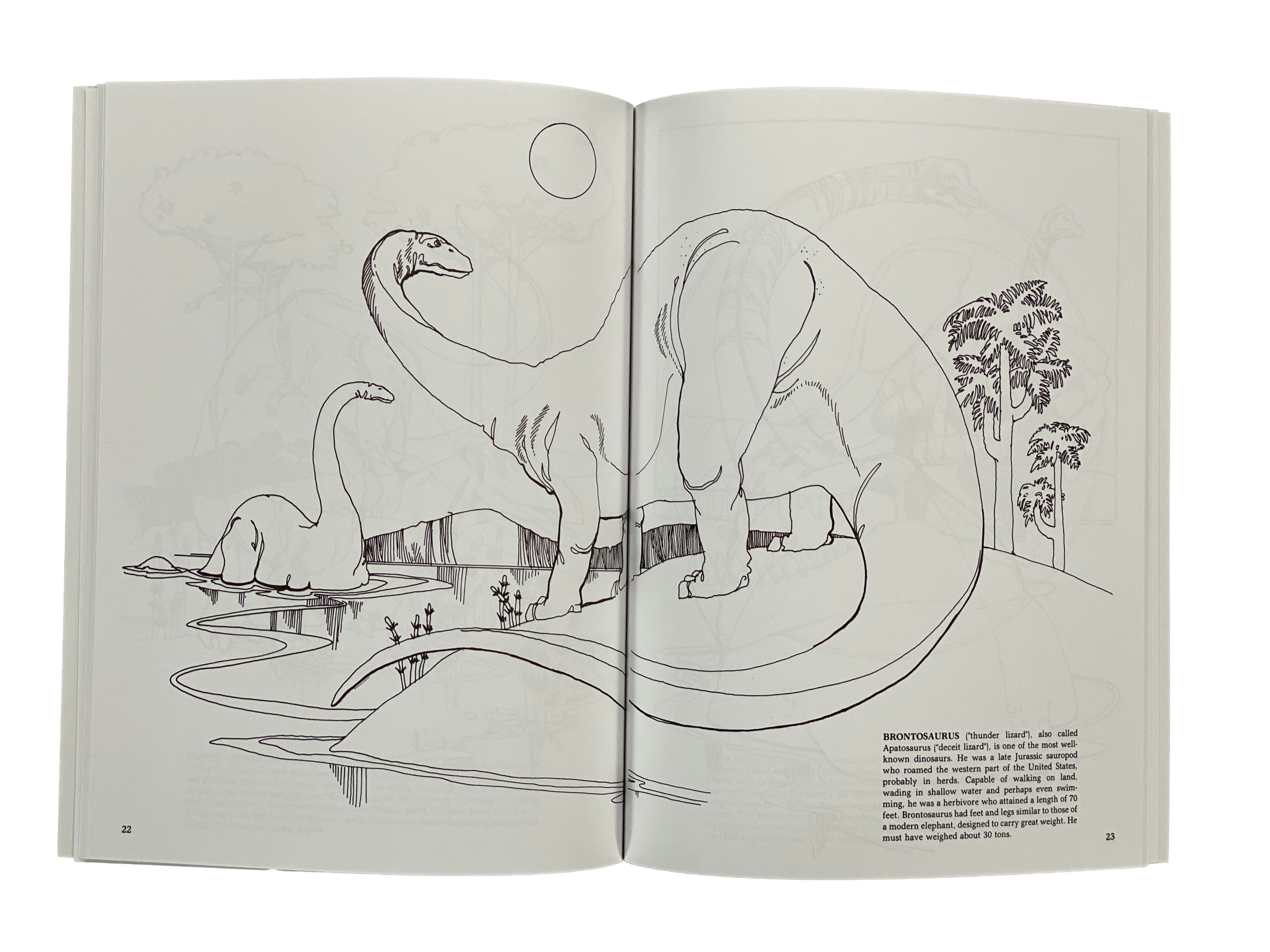 The Dinosaur Coloring Book    