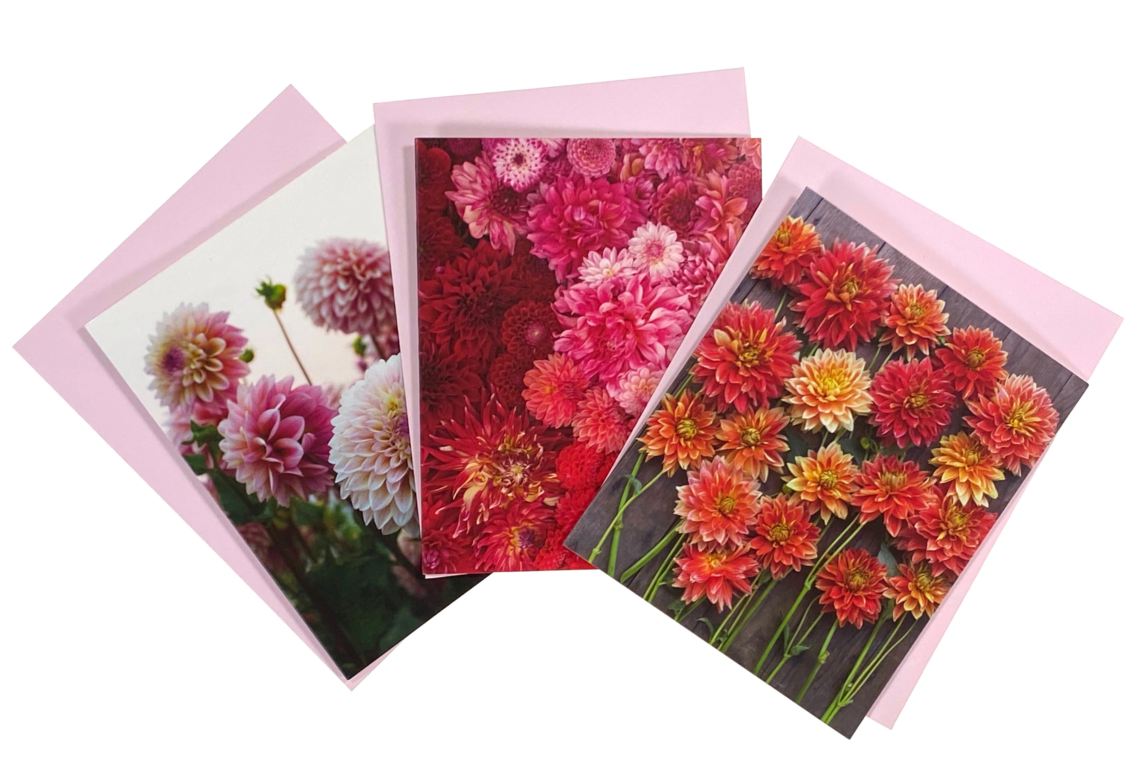 Boxed Assorted Notecards - Cut Flower Garden Dahlia Notes    