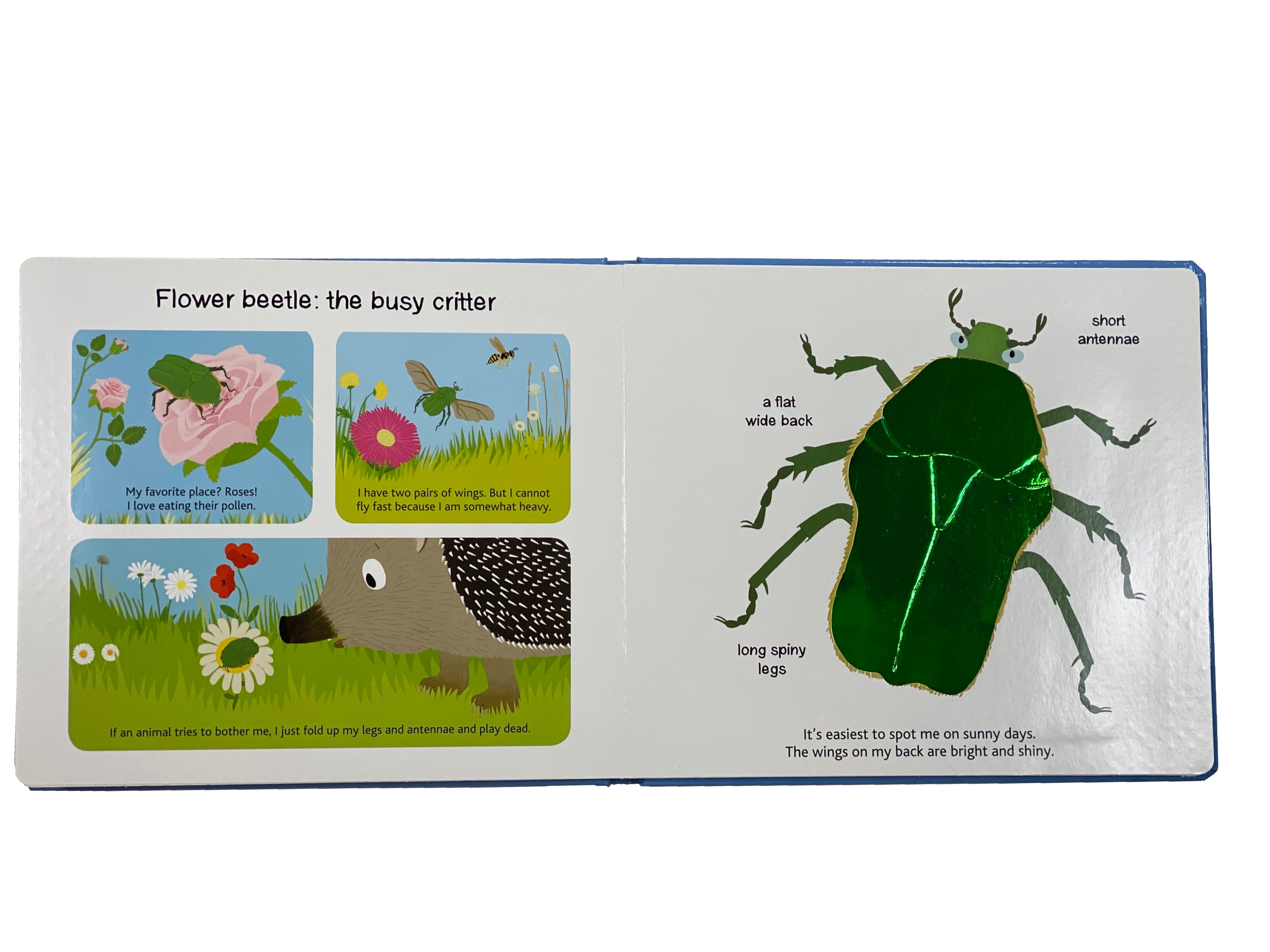 Touch and Explore Bugs and Other Little Creatures Tactile Board Book    