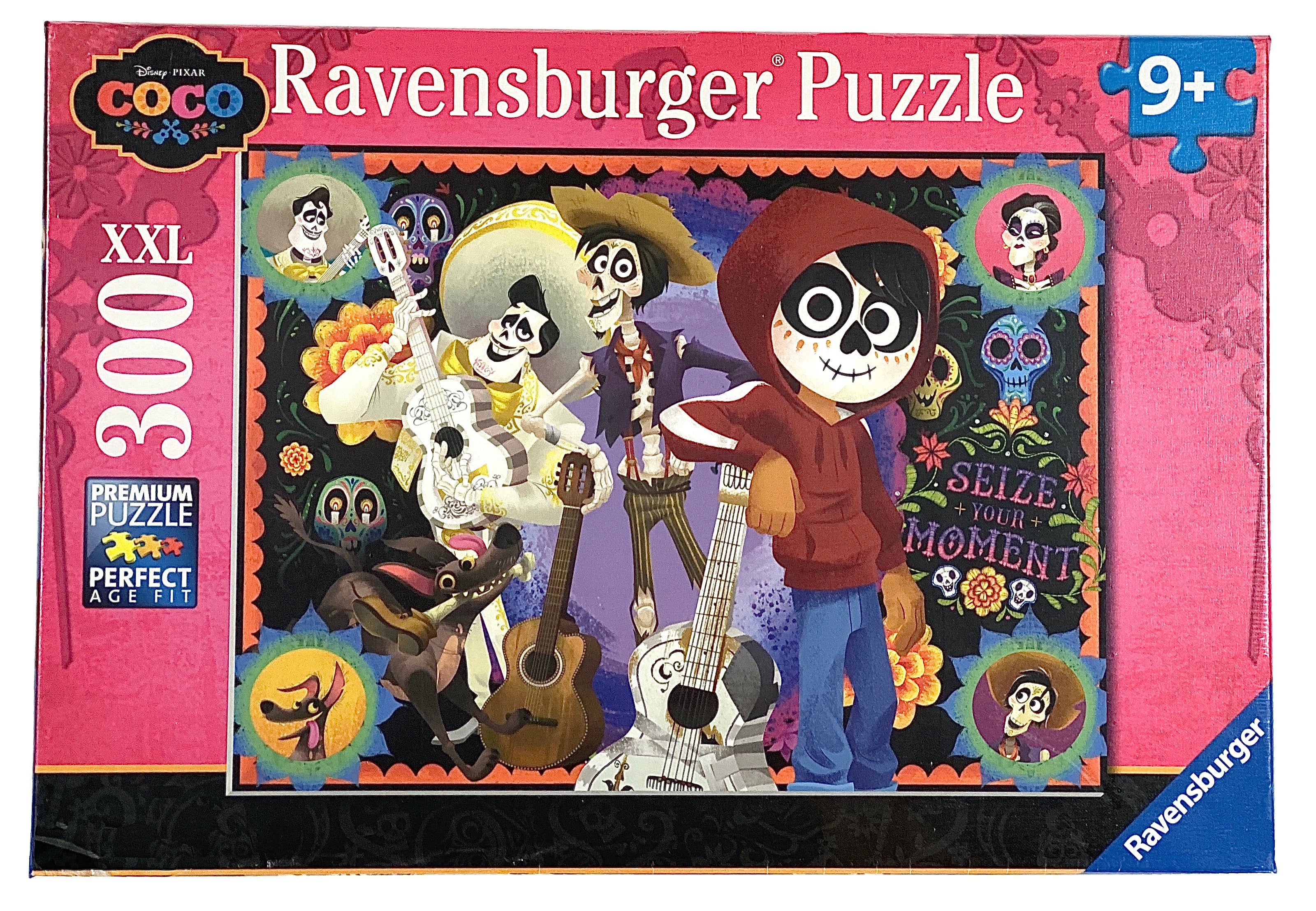 Disney Coco Miguel & Friends 300 Piece Puzzle    